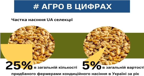 Інфографіка, що демонструє частку насіння UA селекції: 25% у загальному обсязі придбаного фермерами кондиційного насіння та 5% у загальній вартості.
